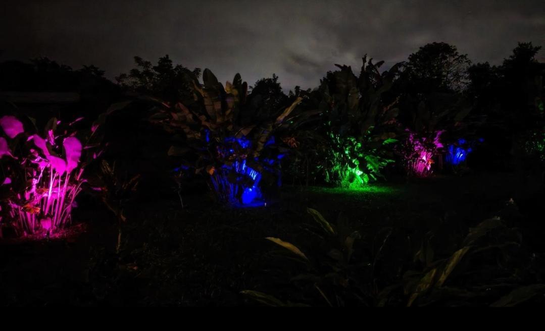La Fortuna Flora Glamping De Abuela 빌라 외부 사진